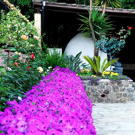 Corfu Club Aparthotel 3*